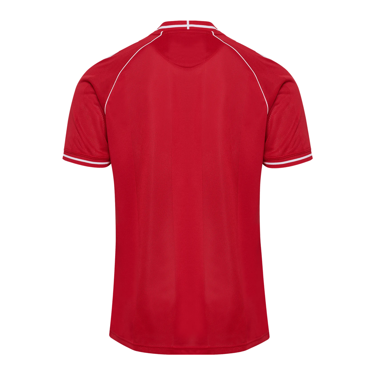DBU DÄNEMARK 2026/27 Heimtrikot für Herren