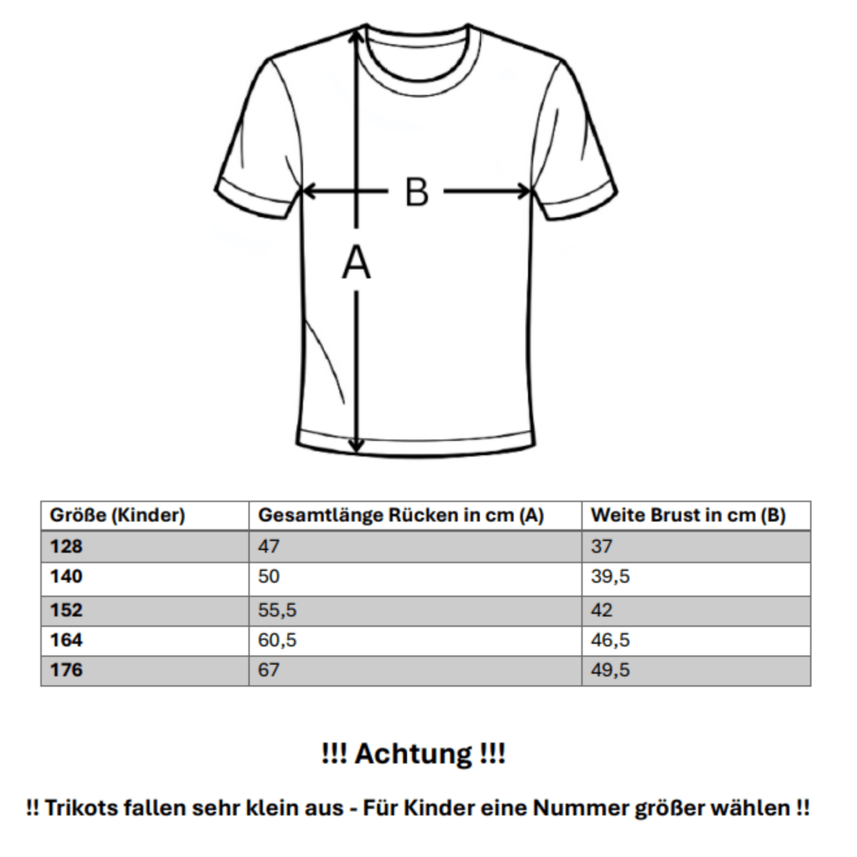 BVB BORUSSIA DORTMUND 2025/26 Kinder-Heimtrikot – ADEYEMI 27