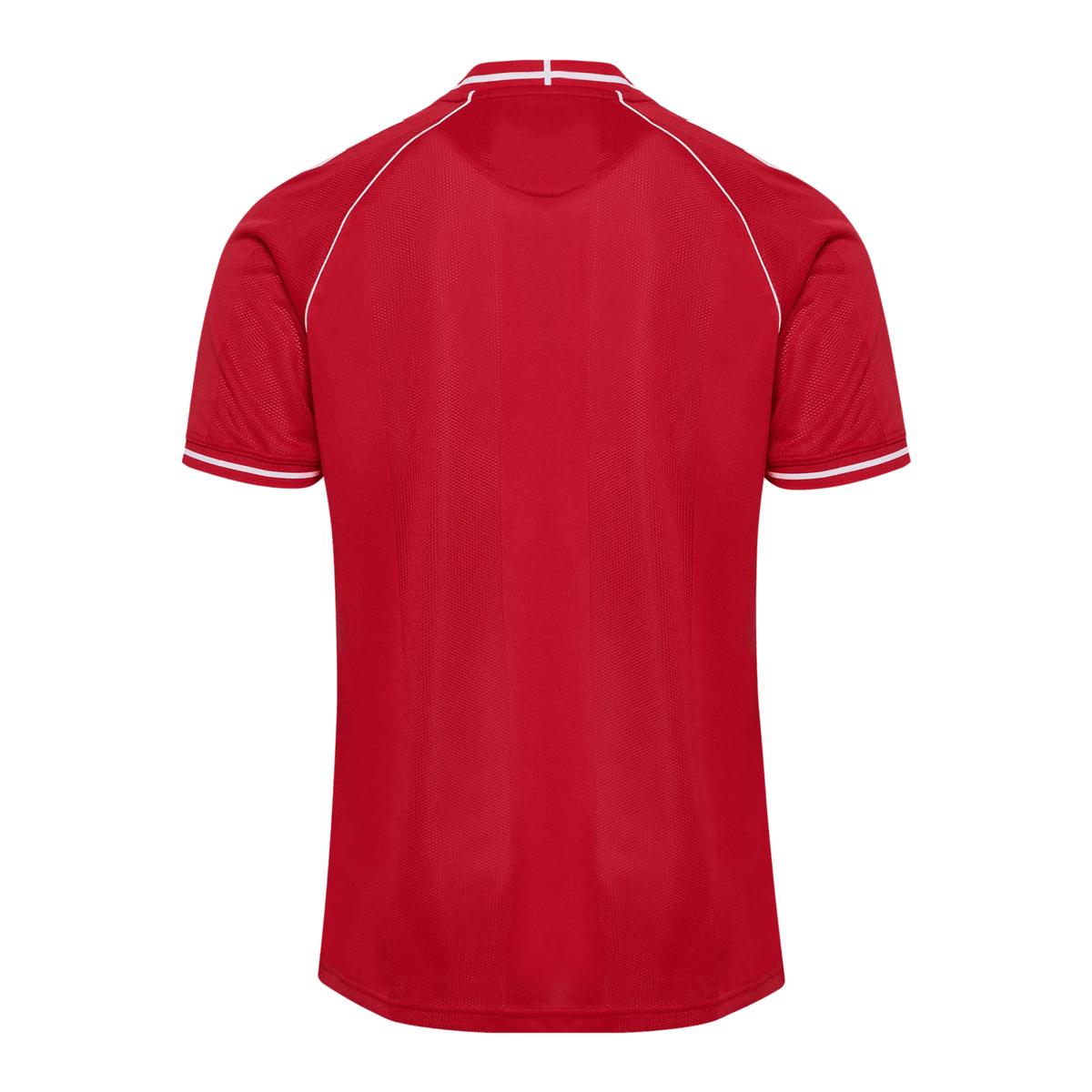 DBU DÄNEMARK 2026/27 Heimtrikot für Kinder