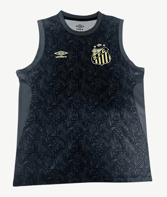 Santos 2024/25 Vest Concept Edition